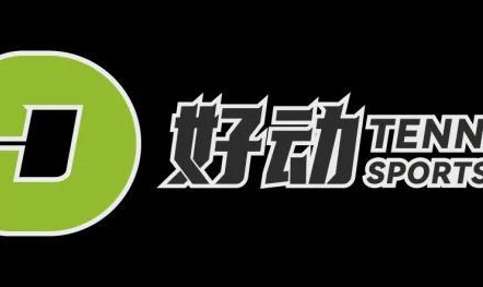 开元体育-资格赛选手又如何？蛰伏700天，排名697位的白卓璇从深渊归来