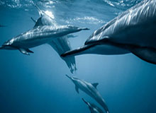 开元平台-刘建宏：金童奖应空缺 23岁还需政策保护有天理吗